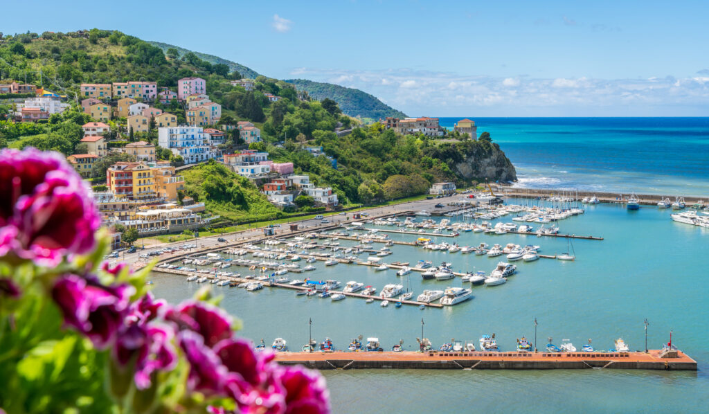 Marina surrounded by blue water and town abovw with pink flower 