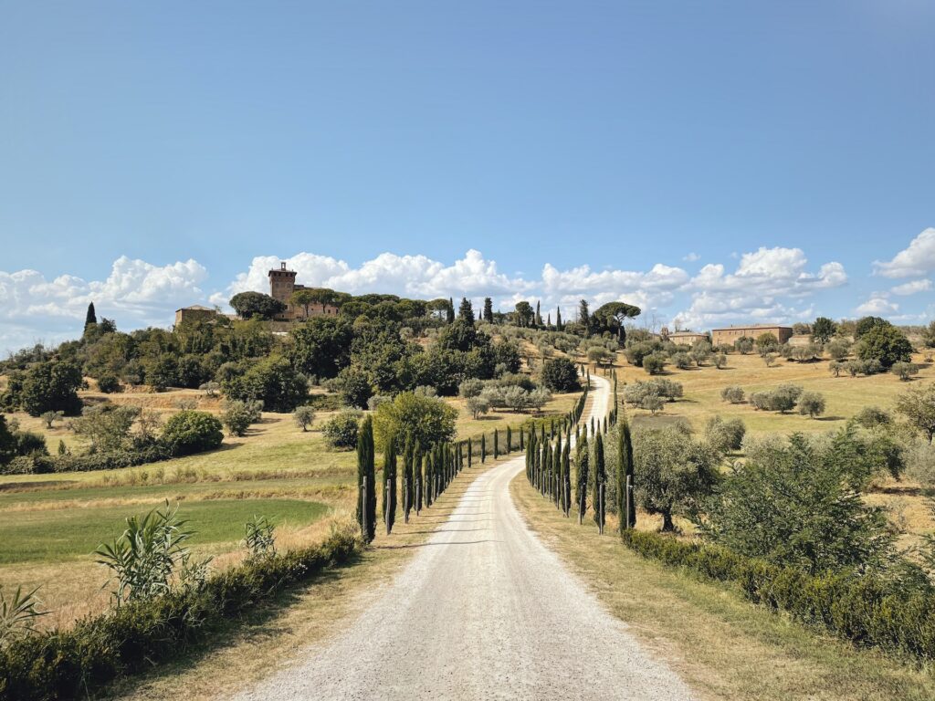 Tuscany rcypress tree lined road