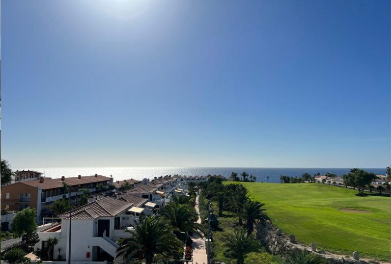 Amarilla-Estates-3-min