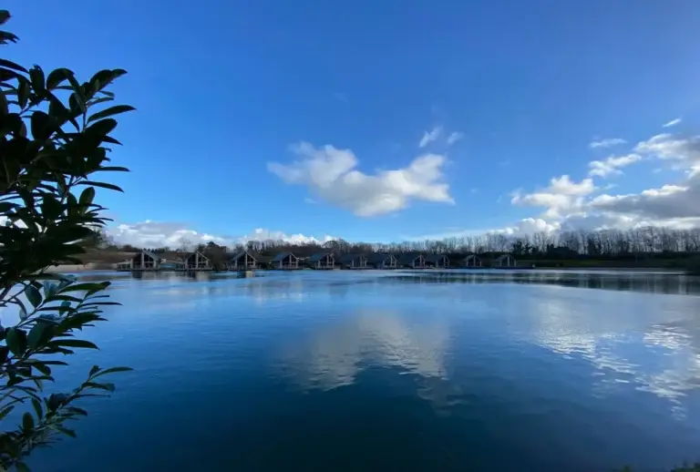 Lakeview-of-houses