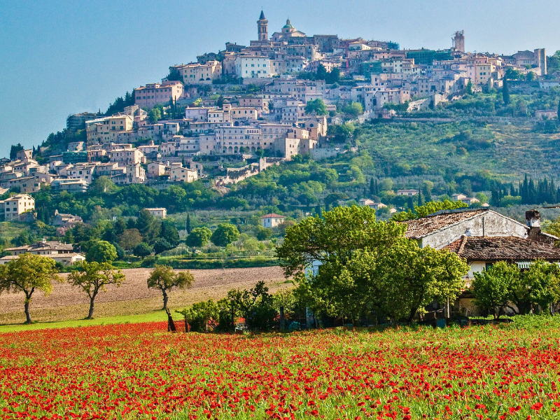 Hilltop town with field and poppies below