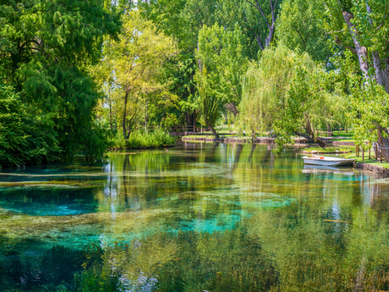 Azure blue and emerald green water beneath woodland trees of a park