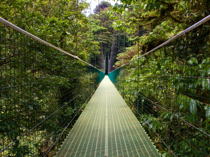 bridge through rainforest costa rica area guide